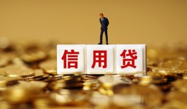 成都29哪有个人借贷-成都29小额贷款公司-成都29私借空放免费上门