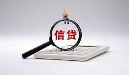 成都29私借空放不考察-成都29无抵押私借空放-成都29民间借贷
