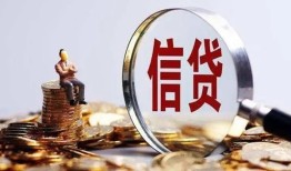 成都29个人小额贷款-成都29信用贷款-成都29无抵押信用贷款