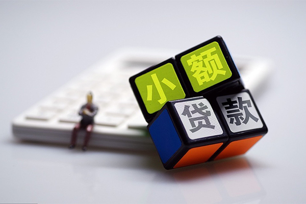 成都29大额短借