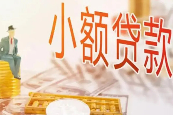 成都29私借空放短借